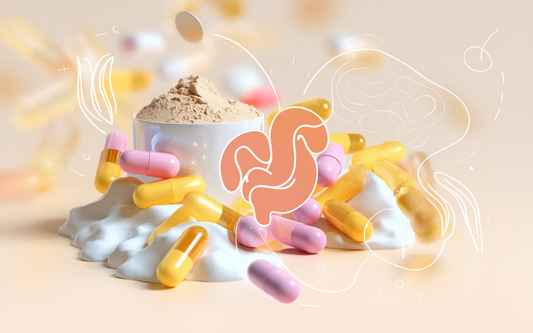 Whey Protein e Probióticos: Sinergia para o Intestino