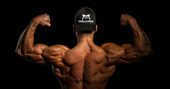 Como Tomar Whey Protein Para Ganhar Massa Muscular